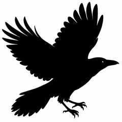 Crow vector illustration, bird isolated on white,Crow silhouette, eagle vector art