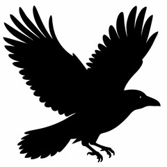 Crow vector illustration, bird isolated on white,Crow silhouette, eagle vector art