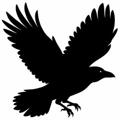 Crow vector illustration, bird isolated on white,Crow silhouette, eagle vector art