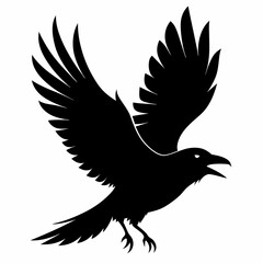 Crow vector illustration, bird isolated on white,Crow silhouette, eagle vector art
