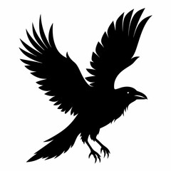 Crow vector illustration, bird isolated on white,Crow silhouette, eagle vector art