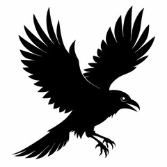Crow vector illustration, bird isolated on white,Crow silhouette, eagle vector art