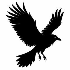 Crow vector illustration, bird isolated on white,Crow silhouette, eagle vector art