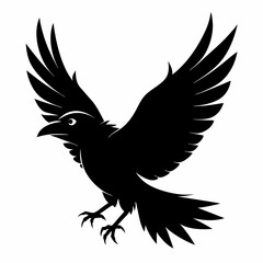 Crow vector illustration, bird isolated on white,Crow silhouette, eagle vector art