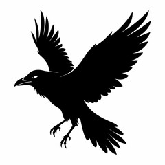 Crow vector illustration, bird isolated on white,Crow silhouette, eagle vector art