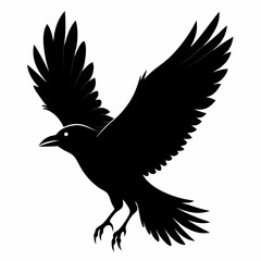 Crow vector illustration, bird isolated on white,Crow silhouette, eagle vector art