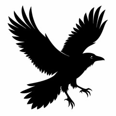 Crow vector illustration, bird isolated on white,Crow silhouette, eagle vector art