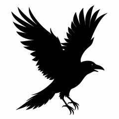 Crow vector illustration, bird isolated on white,Crow silhouette, eagle vector art