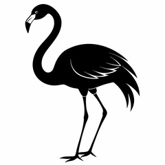 Fototapeta premium Flamingo vector illustration, bird isolated on white, Flamingo silhouette, swan vector art
