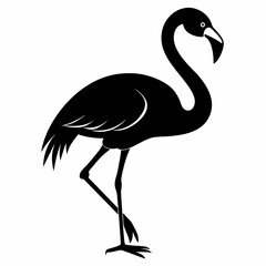 Flamingo vector illustration, bird isolated on white, Flamingo silhouette, swan vector art
