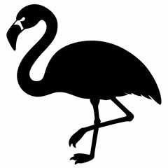 Flamingo vector illustration, bird isolated on white, Flamingo silhouette, swan vector art
