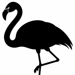 Flamingo vector illustration, bird isolated on white, Flamingo silhouette, swan vector art