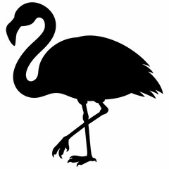 Flamingo vector illustration, bird isolated on white, Flamingo silhouette, swan vector art