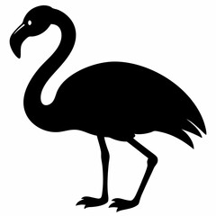 Flamingo vector illustration, bird isolated on white, Flamingo silhouette, swan vector art