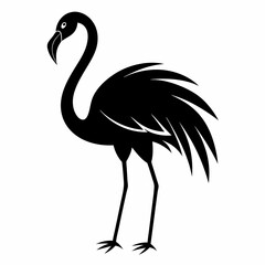 Flamingo vector illustration, bird isolated on white, Flamingo silhouette, swan vector art
