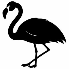 Flamingo vector illustration, bird isolated on white, Flamingo silhouette, swan vector art