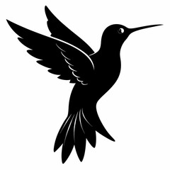 Hummingbird vector illustration, bird isolated on white, Hummingbird silhouette, dove vector art
