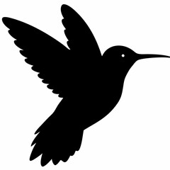 Hummingbird vector illustration, bird isolated on white, Hummingbird silhouette, dove vector art
