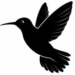 Hummingbird vector illustration, bird isolated on white, Hummingbird silhouette, dove vector art

