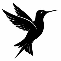 Hummingbird vector illustration, bird isolated on white, Hummingbird silhouette, dove vector art
