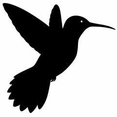 Hummingbird vector illustration, bird isolated on white, Hummingbird silhouette, dove vector art
