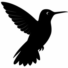 Hummingbird vector illustration, bird isolated on white, Hummingbird silhouette, dove vector art
