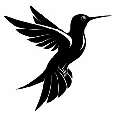 Hummingbird vector illustration, bird isolated on white, Hummingbird silhouette, dove vector art
