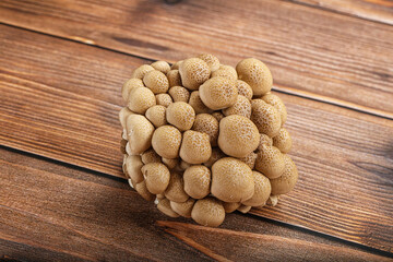 Raw asiam delicacy mushroom Shimeji