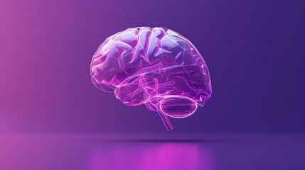 Brain is shown in a purple background. The brain is shown in a way that makes it look like it is floating in the air