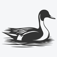 Majestic Pintail Silhouette, Capturing Nature's Grace in Shadow