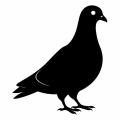 Obraz premium Pigeon vector illustration, animal isolated on white, Pigeon silhouette, dove vector art 