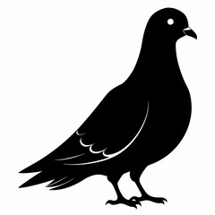 Pigeon vector illustration, animal  isolated on white, Pigeon silhouette, dove vector art
