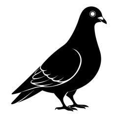 Pigeon vector illustration, animal  isolated on white, Pigeon silhouette, dove vector art
