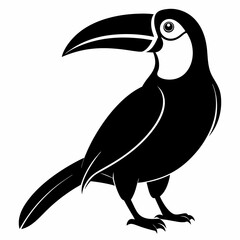 Toucan vector illustration, bird  isolated on white, Toucan silhouette, Toucan vector art