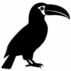 Toucan vector illustration, bird  isolated on white, Toucan silhouette, Toucan vector art