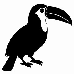 Toucan vector illustration, bird  isolated on white, Toucan silhouette, Toucan vector art