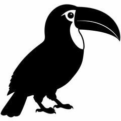 Toucan vector illustration, bird  isolated on white, Toucan silhouette, Toucan vector art