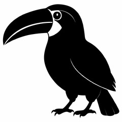Fototapeta premium Toucan vector illustration, bird isolated on white, Toucan silhouette, Toucan vector art