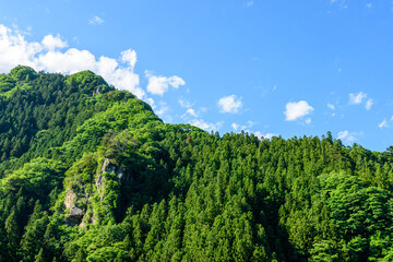 新緑の山と青空と白い雲／群馬県
