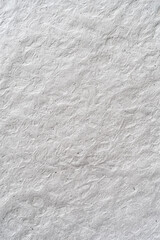 Obraz premium Light Gray Kraft Paper Flat Texture