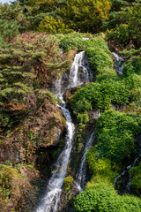 Naklejka premium Close-up of waterfall with autumn foliage