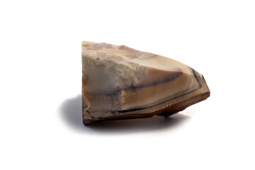 Pelitic Schist Rock isolated on white Background