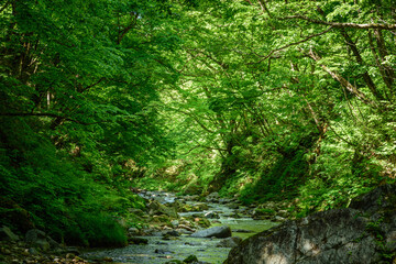 西根川の風景／福島県
