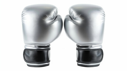 pair of boxing gloves