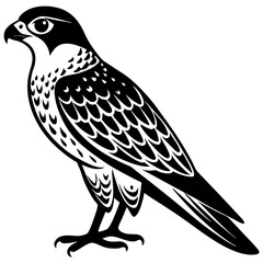 Falcon Illustration Vector Art