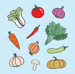 Illustration of fresh vegetables, hand drawn vector elements