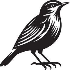 Illustration of a bird and silhouette vector