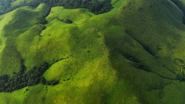 beautiful hills cape in Chikmagalur Baba Budangiri hills near Manikyadhara falls, Karnataka, Green grass field and mountain during daytime photo