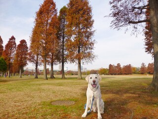 ?.?.=7!-G?)?6???.?C}J?5...#?"?1 ?.?.?.??,?..$?2U.?"?-??Ǯ.?]?.?