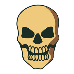 vector skull PNG